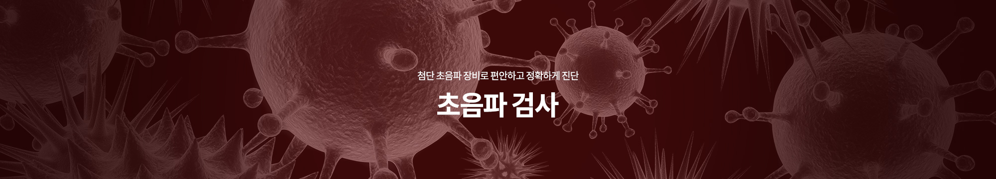 첨단 초음파 장비로 편안하고 정확하게 진단 초음파 검사